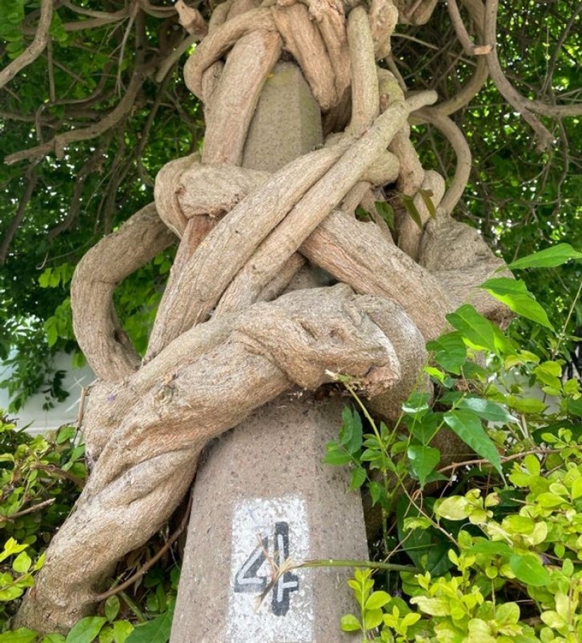 11 Photos of Places Where Nature Has Taken Back Control 11 Photos of Places Where Nature Has Taken Back Control