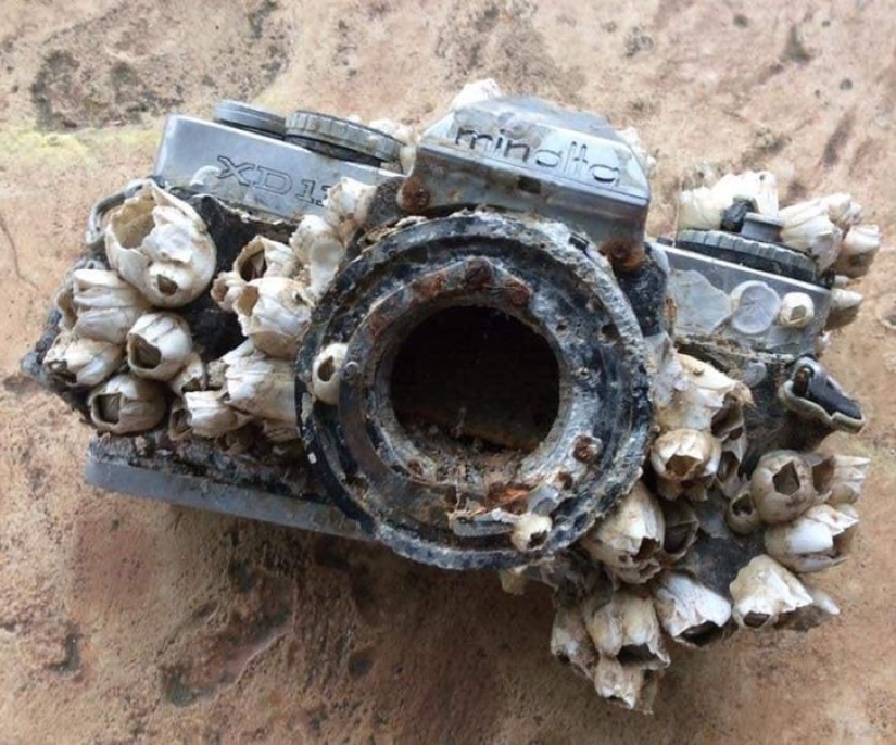 11 Photos of Places Where Nature Has Taken Back Control 11 Photos of Places Where Nature Has Taken Back Control