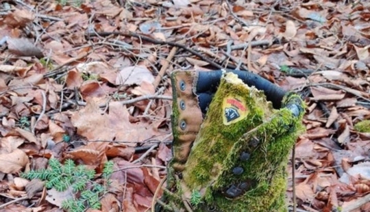 11 Photos of Places Where Nature Has Taken Back Control