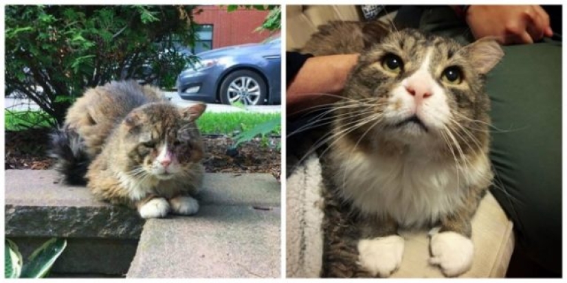 11 photos that people who think there is nothing good in this world should see