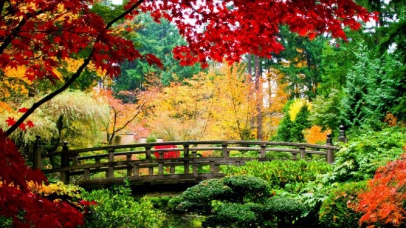 11 places where autumn looks really great 11 places where autumn looks really great