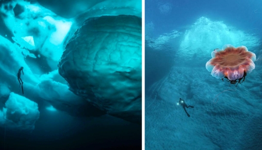 11 rare and impressive photos of an iceberg in Greenland from photographer Tobias Friedrich