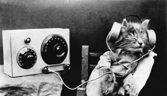 11 razones por las que tener una mascota es bueno para ti y tu familia