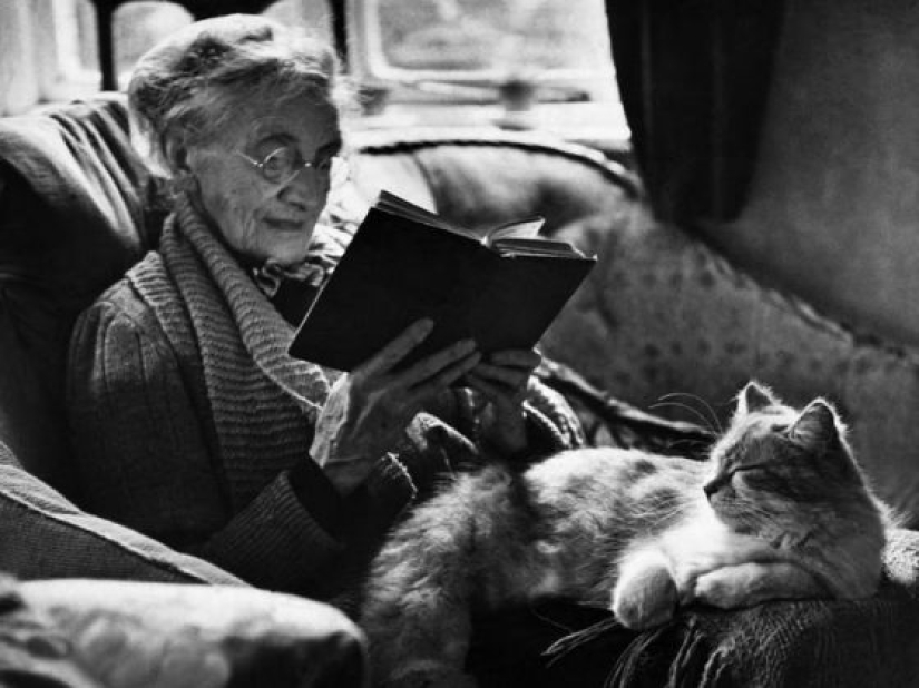 11 Reasons Why Having a Pet Is Good for You and Your Family