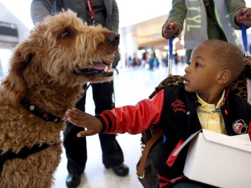 11 Reasons Why Having a Pet Is Good for You and Your Family