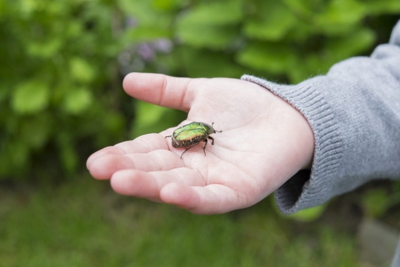 11 recipes of the pioneer past that we should tell children about