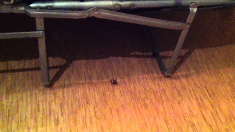 11 recipes of the pioneer past that we should tell children about