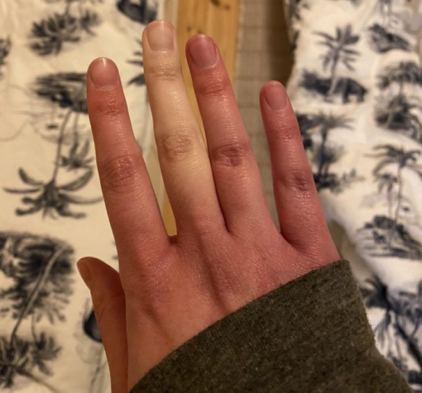 11 times nature has prepared for us curious surprises 11 times nature has prepared for us curious surprises