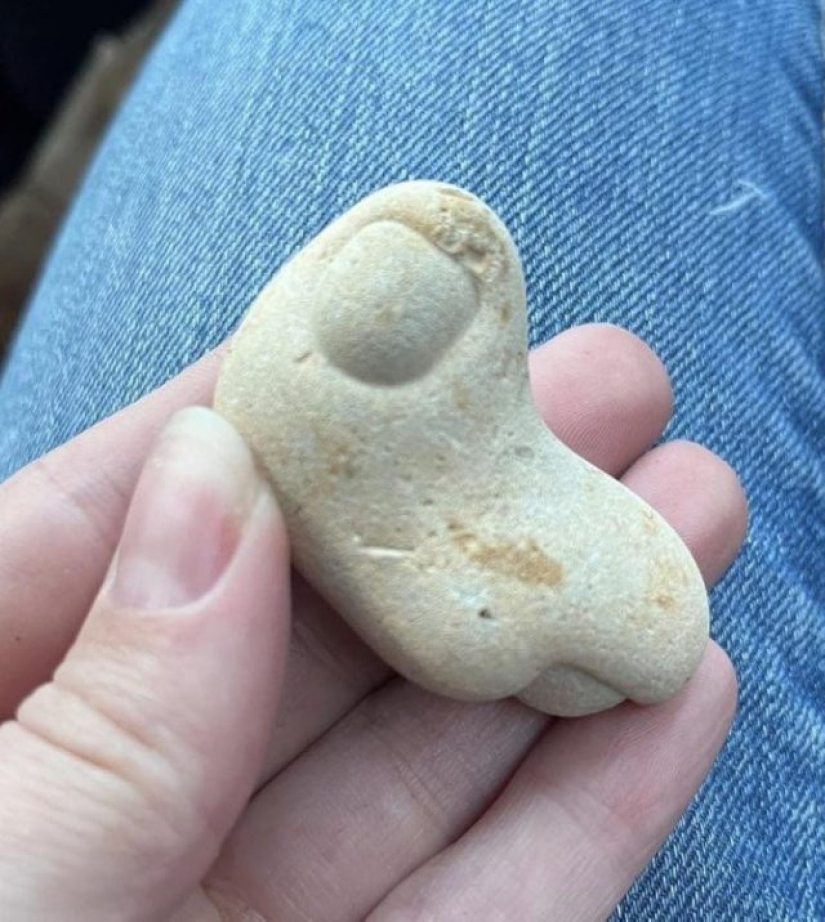 11 times nature has prepared for us curious surprises 11 times nature has prepared for us curious surprises