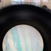 11 Times Nature Has Curious Surprises for Us