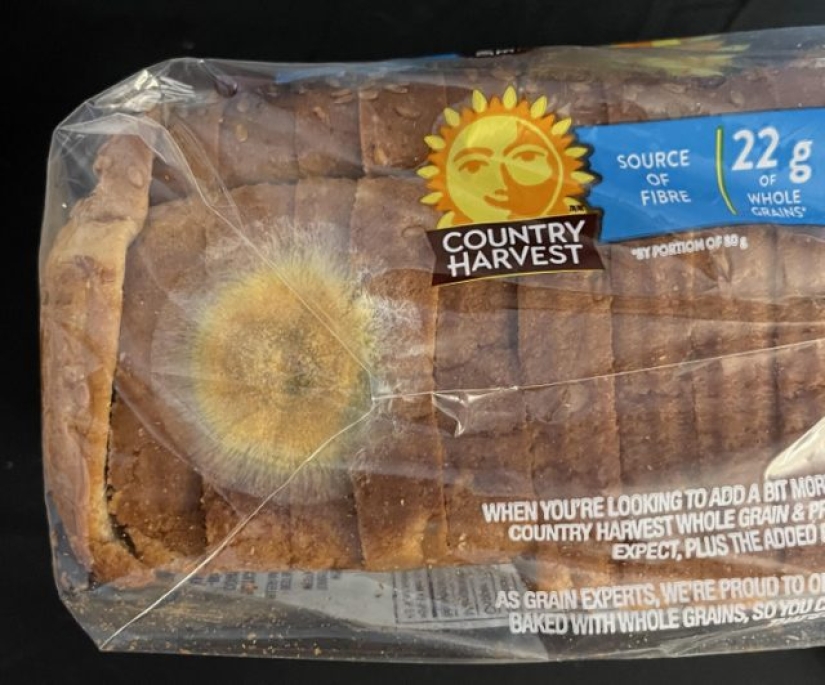 11 times nature has prepared for us curious surprises 11 times nature has prepared for us curious surprises