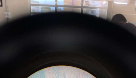 11 Times Nature Has Curious Surprises for Us 11 Times Nature Has Curious Surprises for Us