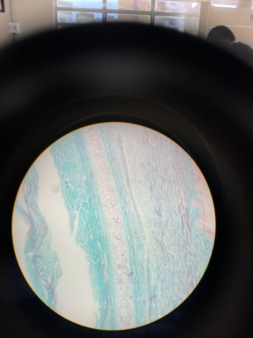 11 times nature has prepared for us curious surprises 11 times nature has prepared for us curious surprises