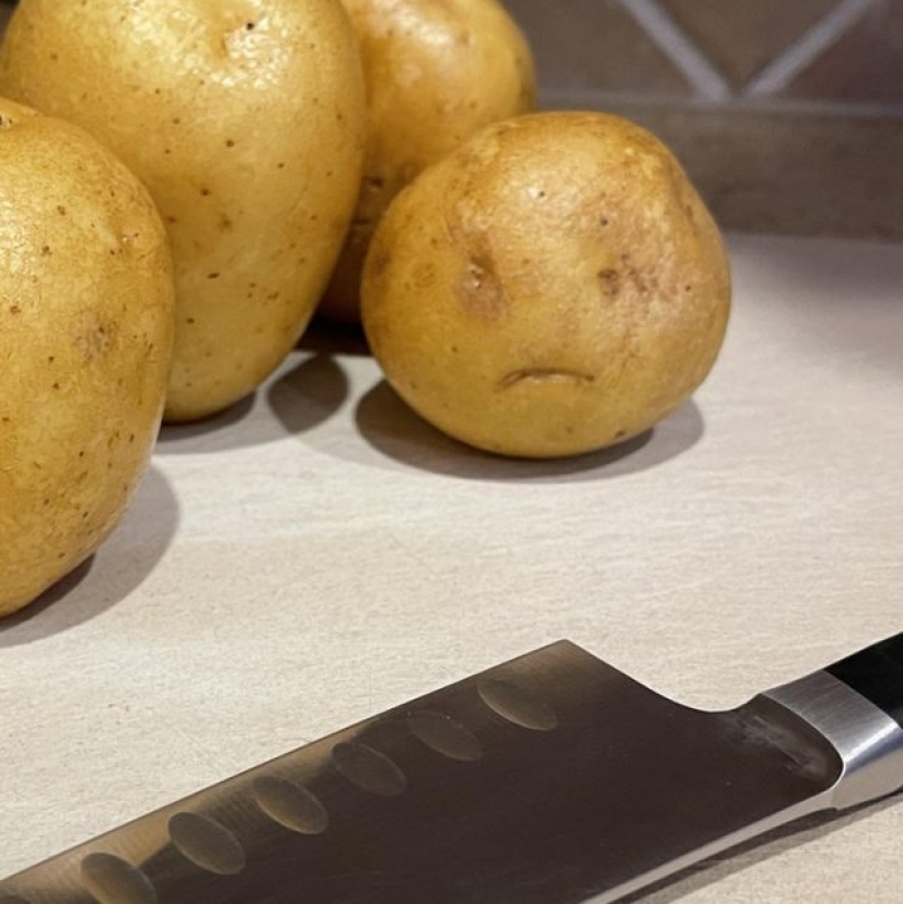 11 veces que la naturaleza nos ha preparado curiosas sorpresas 11 veces que la naturaleza nos ha preparado curiosas sorpresas