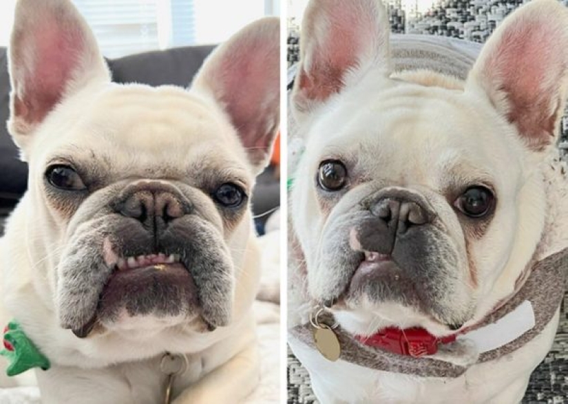 11 veces que la naturaleza nos ha preparado curiosas sorpresas 11 veces que la naturaleza nos ha preparado curiosas sorpresas