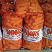 12 diseñadores que serán despedidos mañana