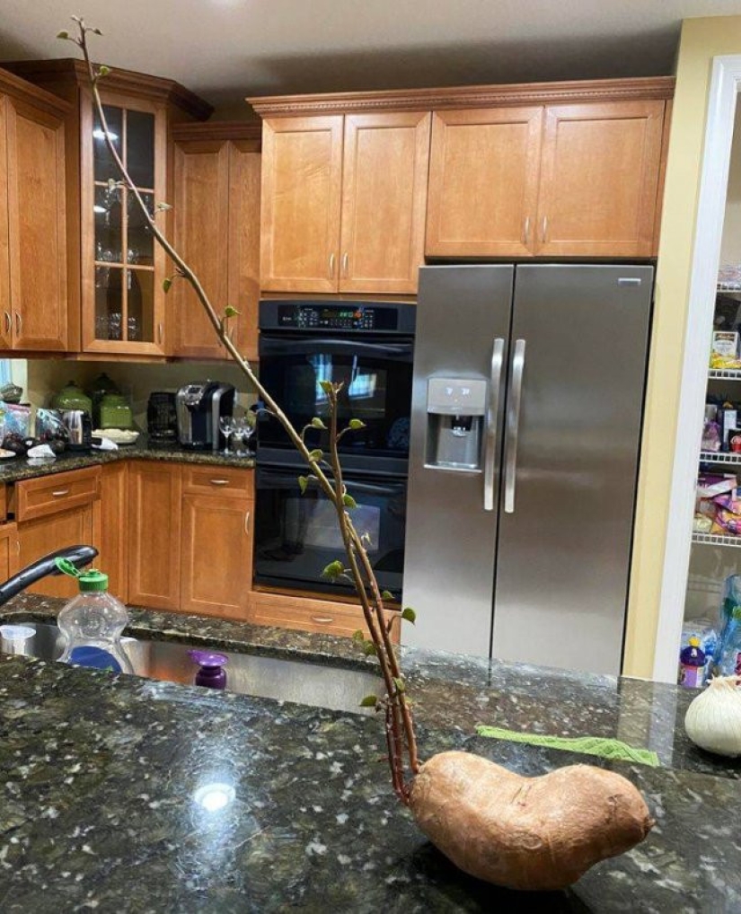 12 fotos informativas que demuestran claramente lo que sucede cuando... 12 fotos informativas que demuestran claramente lo que sucede cuando...