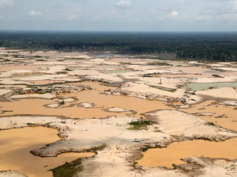 12 fotos que muestran cómo los humanos han cambiado los bosques del mundo