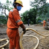 12 fotos que muestran cómo los humanos han cambiado los bosques del mundo