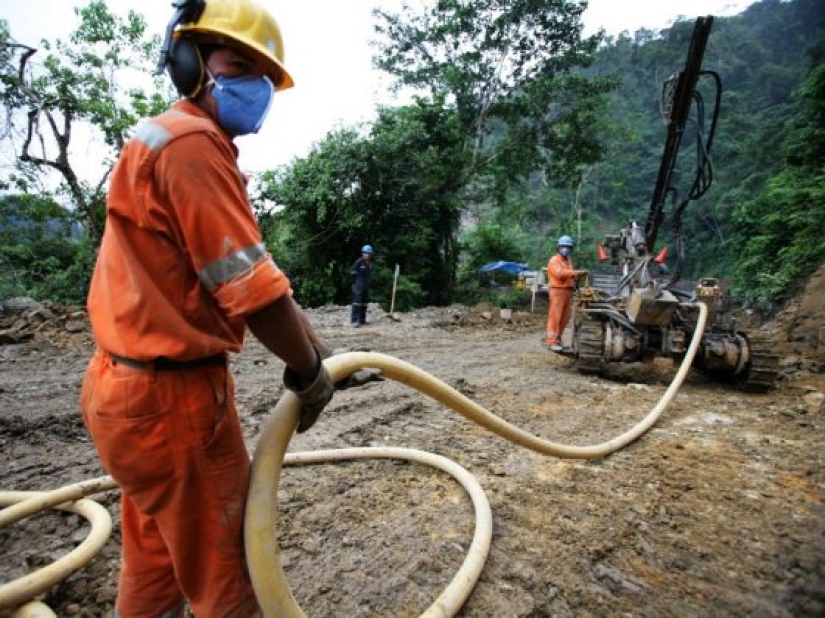 12 fotos que muestran cómo los humanos han cambiado los bosques del mundo