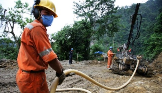 12 fotos que muestran cómo los humanos han cambiado los bosques del mundo
