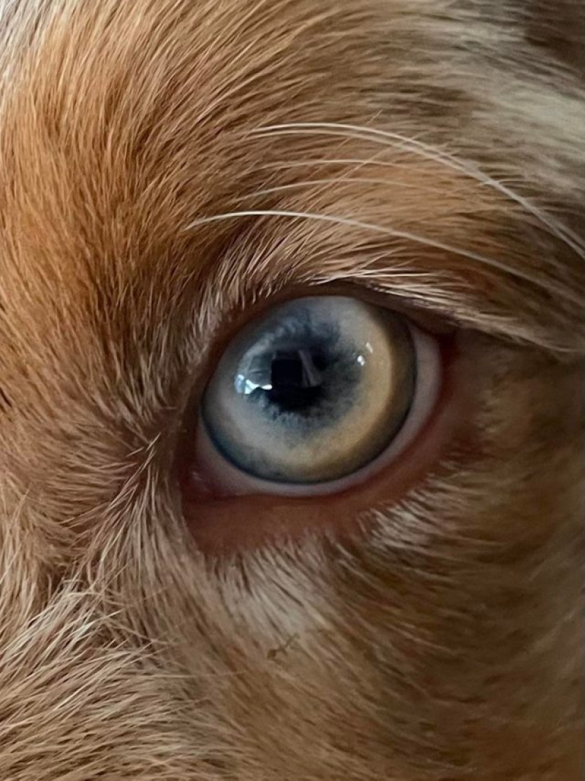 12 fotos que prueban que el ángulo puede cambiarlo todo 12 fotos que prueban que el ángulo puede cambiarlo todo