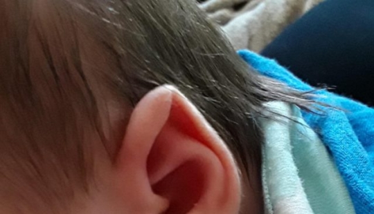 12 fotos que prueban que el apoyo es lo más valioso en la vida