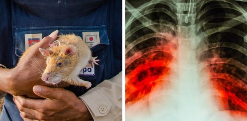 12 pairs of things that are surprisingly related to each other 12 pairs of things that are surprisingly related to each other