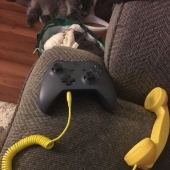 12 People Who Just Don't Care