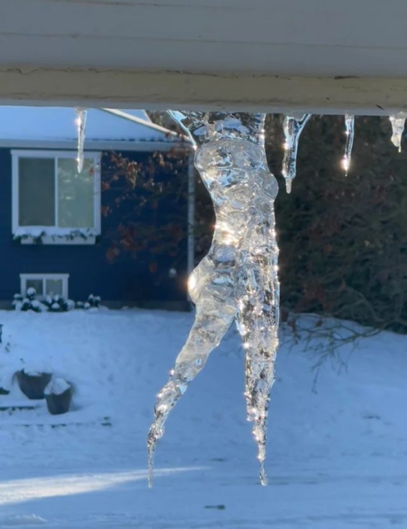 12 personas que vieron algo especial en la vida cotidiana