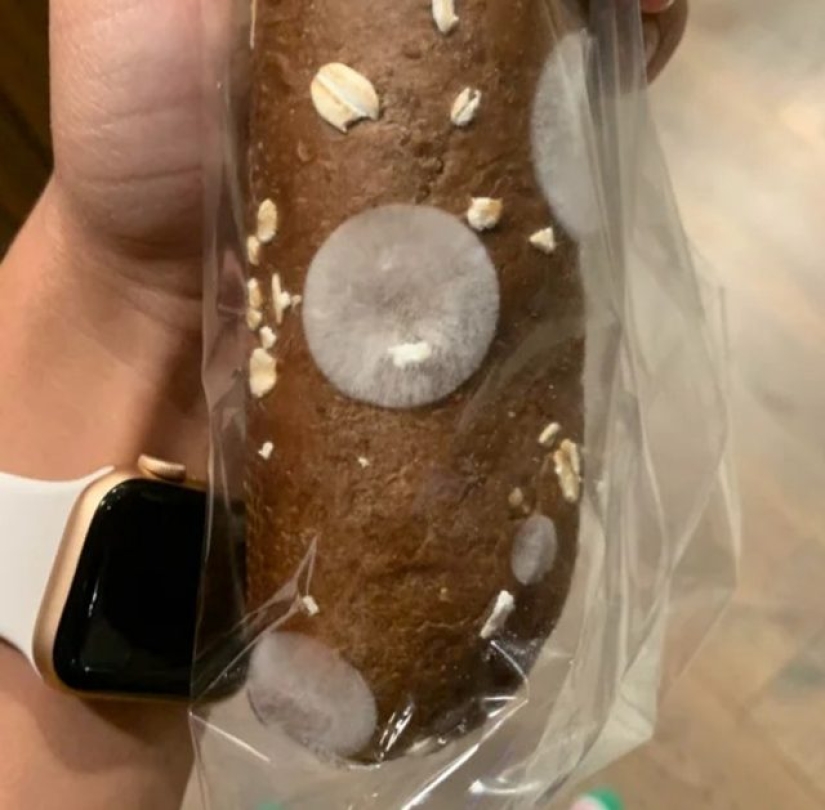 12 personas que vieron algo especial en la vida cotidiana