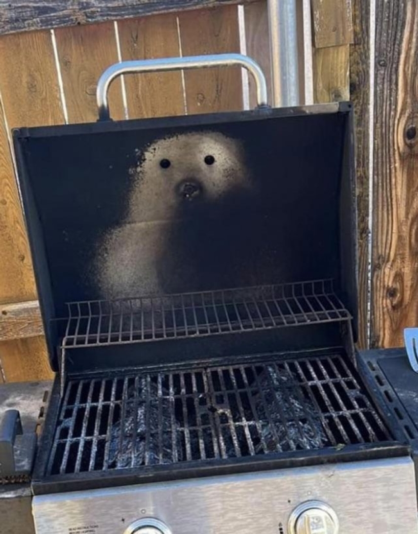 12 personas que vieron algo especial en la vida cotidiana