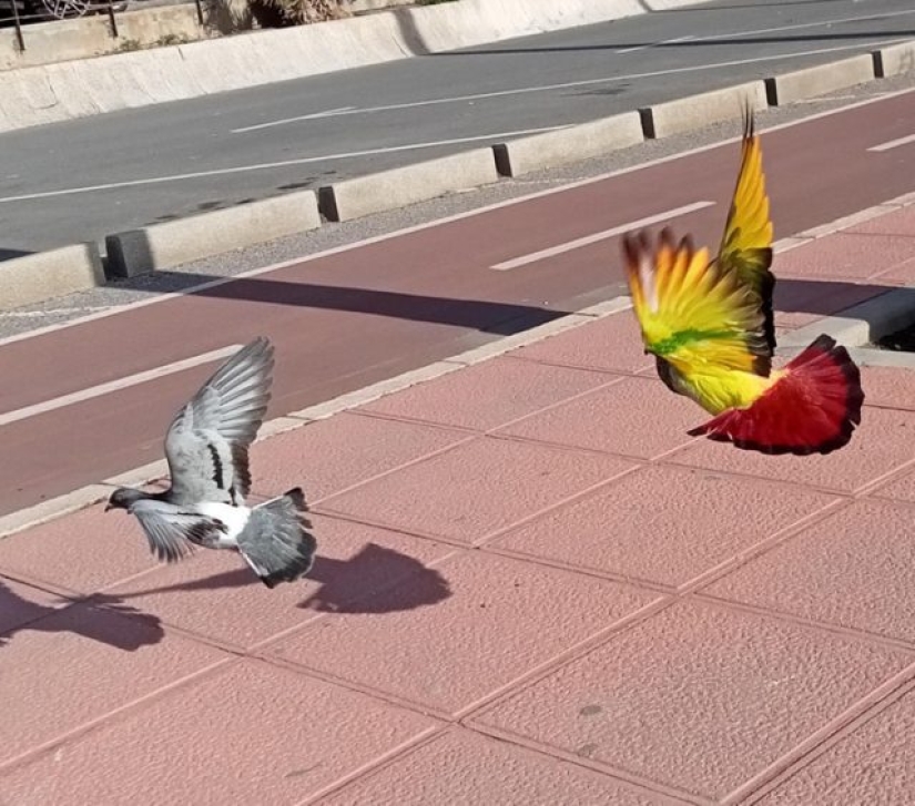 12 personas que vieron algo especial en la vida cotidiana