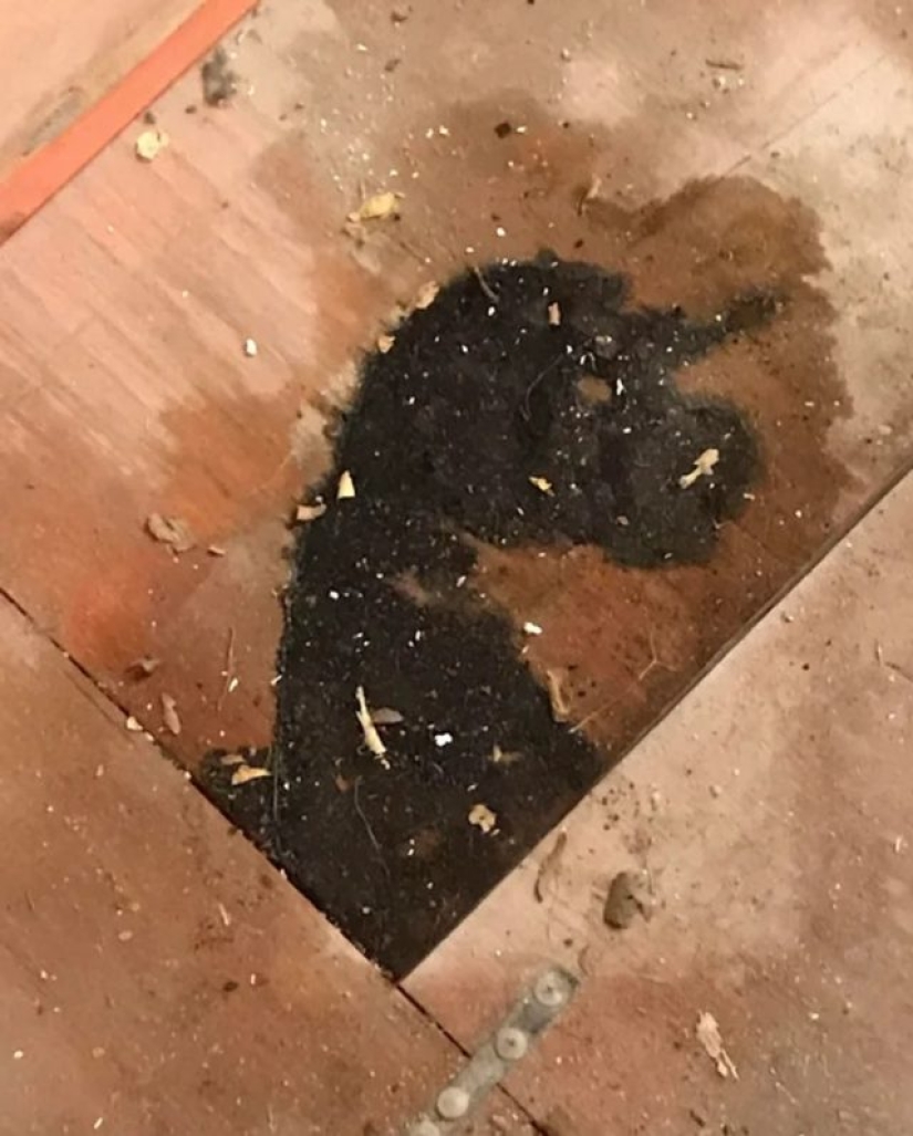 12 personas que vieron algo especial en la vida cotidiana