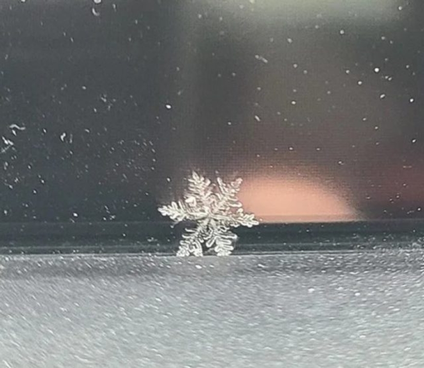 12 personas que vieron algo especial en la vida cotidiana