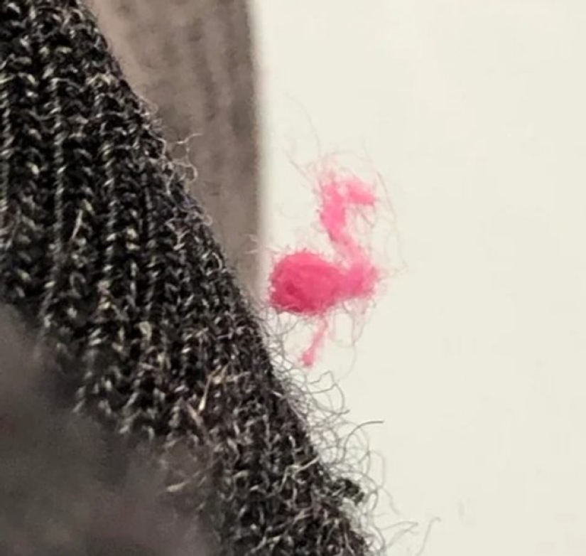 12 personas que vieron algo especial en la vida cotidiana