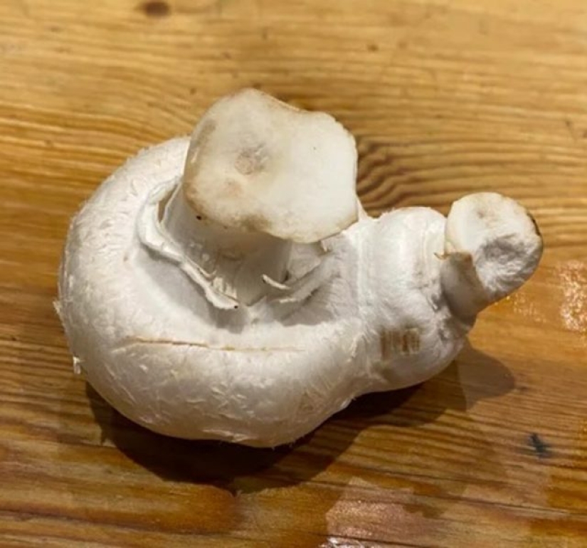 12 personas que vieron algo especial en la vida cotidiana