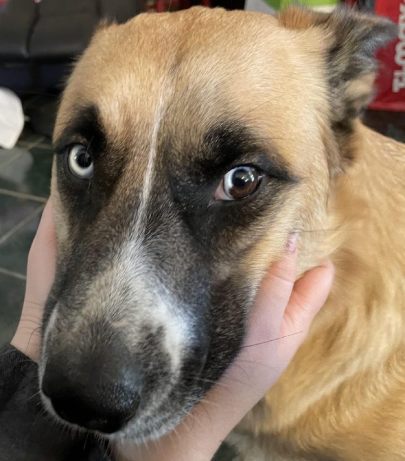 12 Photos Proving That To Be Beautiful Is To Be Unique 12 Photos Proving That To Be Beautiful Is To Be Unique