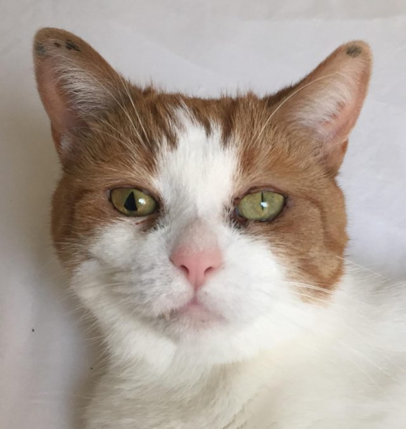 12 Photos Proving That To Be Beautiful Is To Be Unique 12 Photos Proving That To Be Beautiful Is To Be Unique