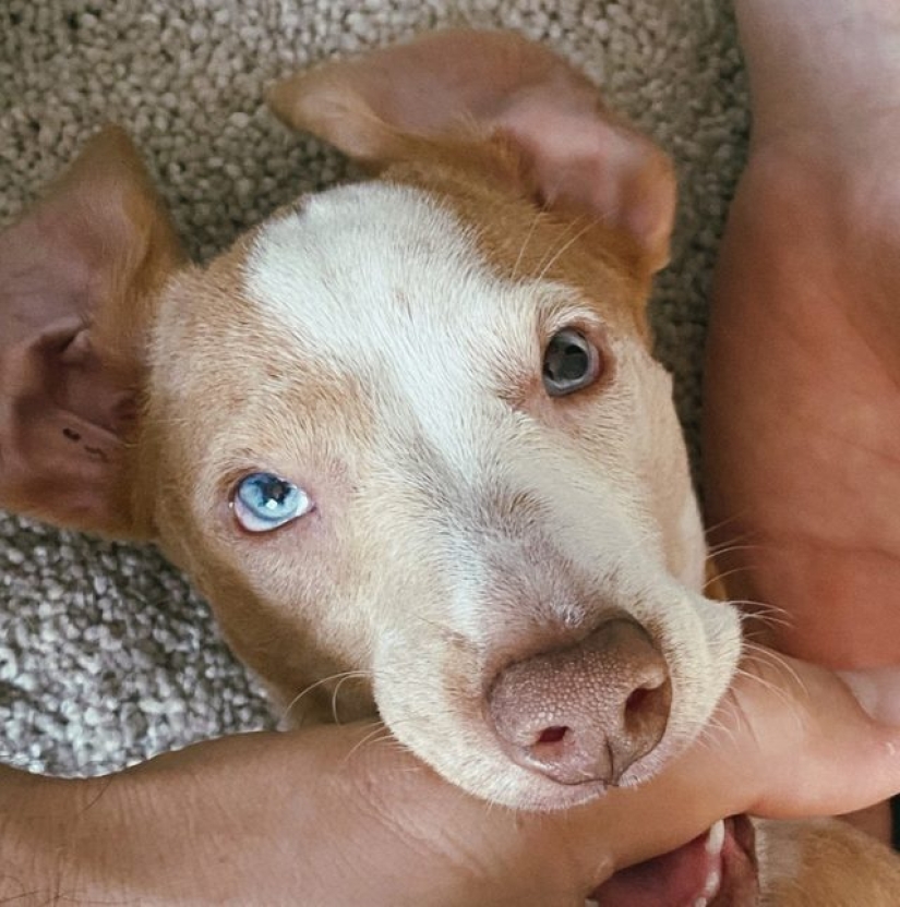 12 Photos Proving That To Be Beautiful Is To Be Unique 12 Photos Proving That To Be Beautiful Is To Be Unique