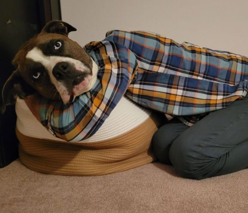 12 photos that prove that the angle can change everything 12 photos that prove that the angle can change everything