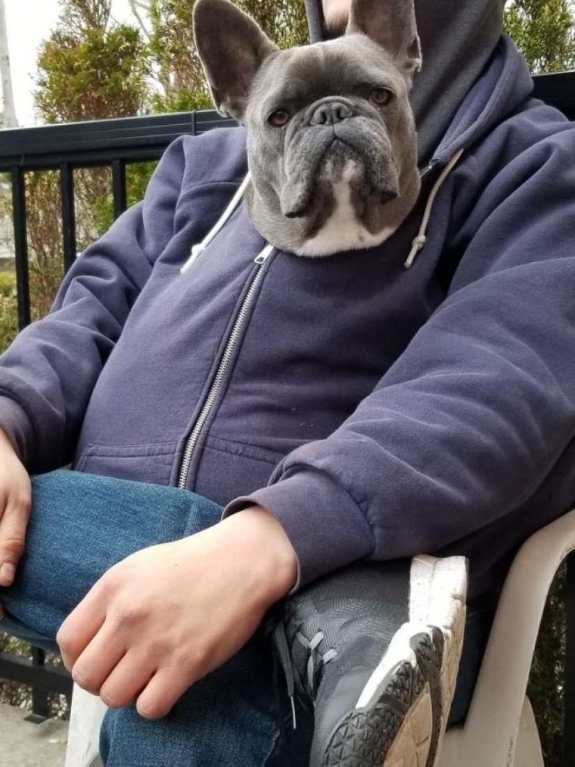 12 photos that prove that the angle can change everything 12 photos that prove that the angle can change everything