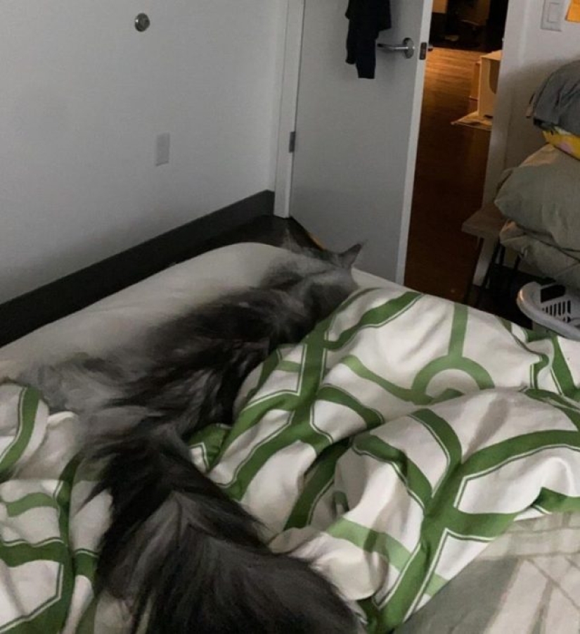 12 photos that prove that the angle can change everything 12 photos that prove that the angle can change everything