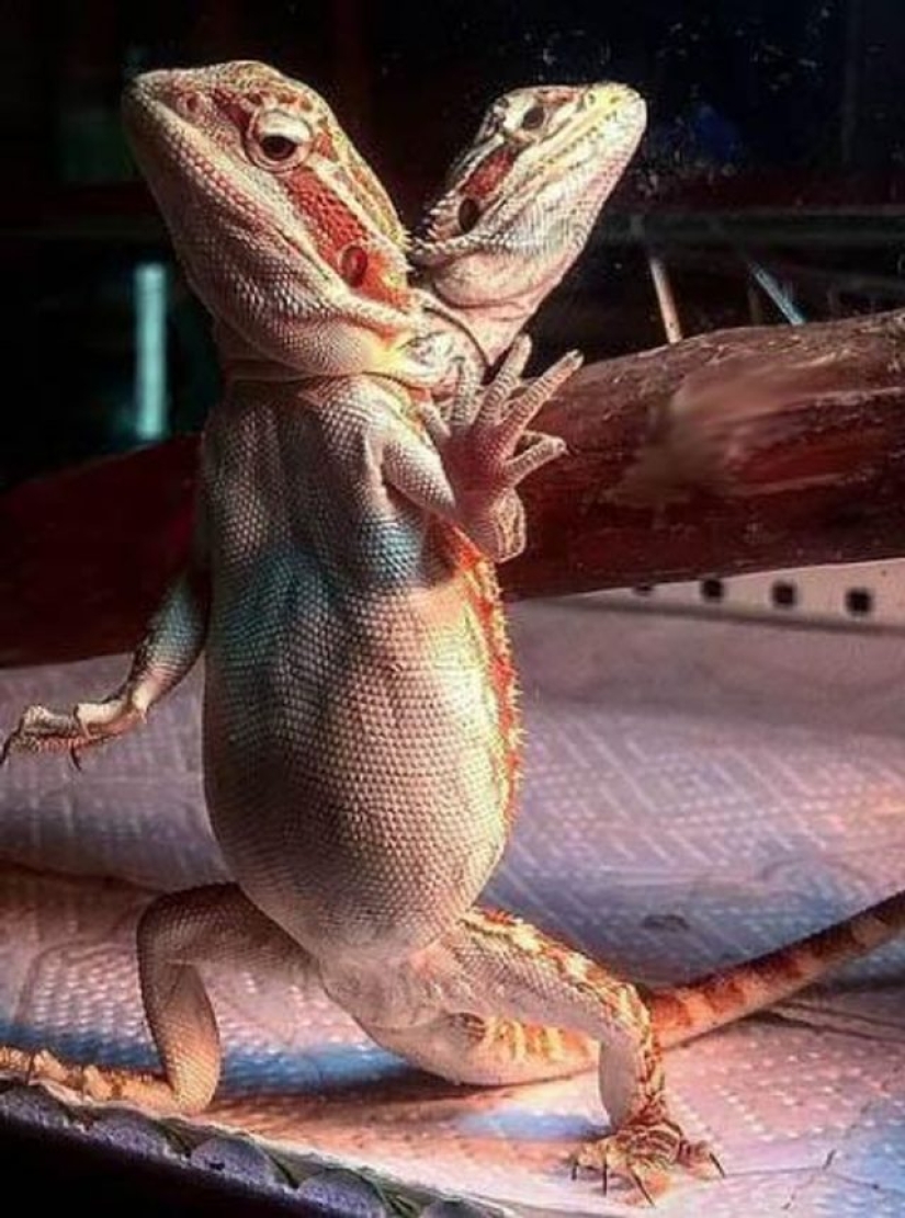 12 photos that prove that the angle can change everything 12 photos that prove that the angle can change everything