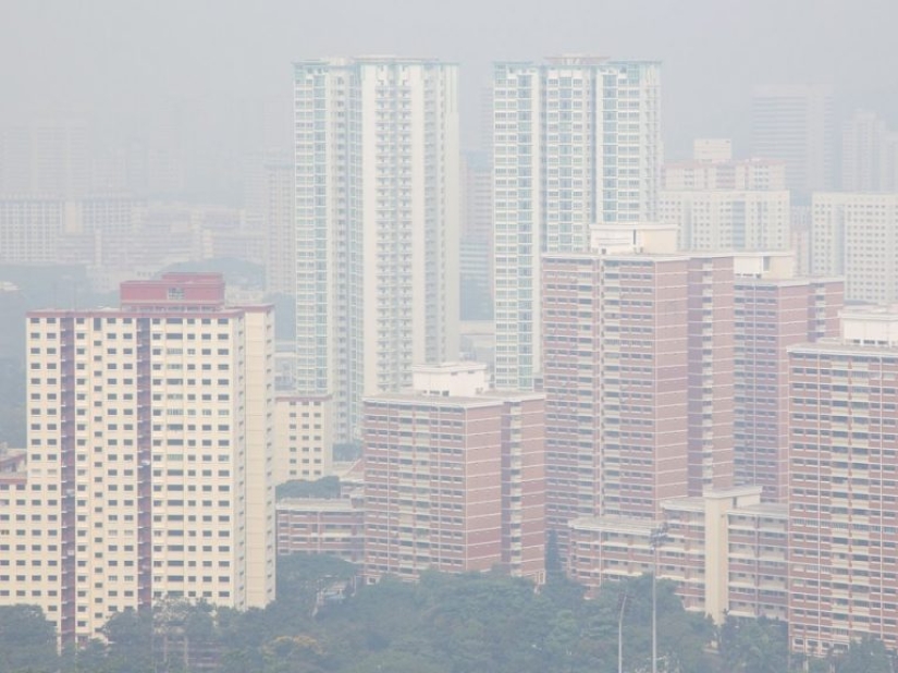 12 photos that show how humans have changed the world's forests