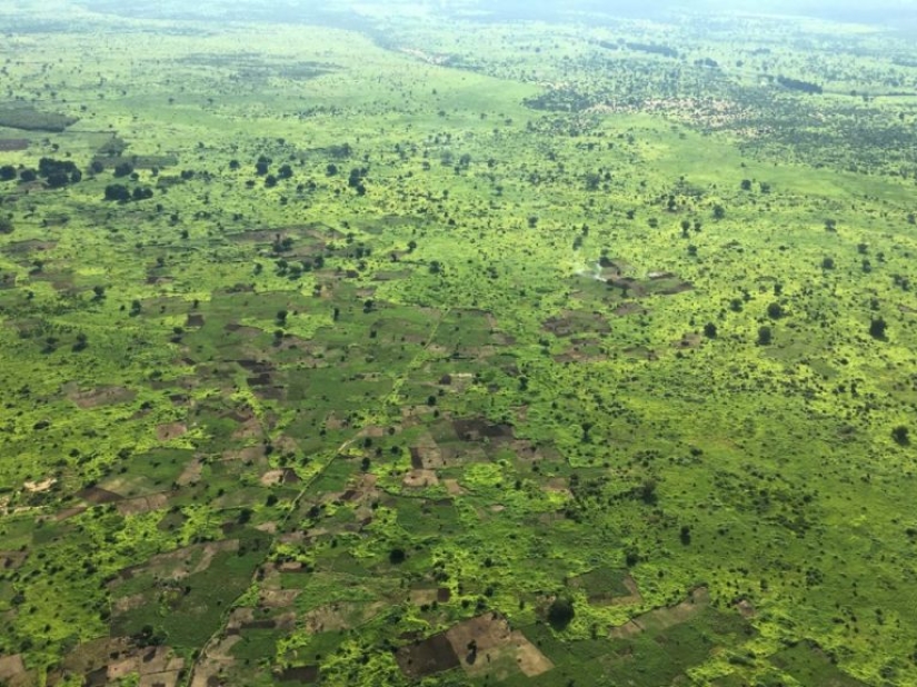 12 photos that show how humans have changed the world's forests