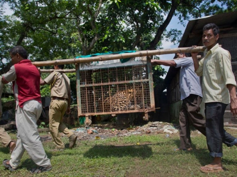 12 photos that show how humans have changed the world's forests