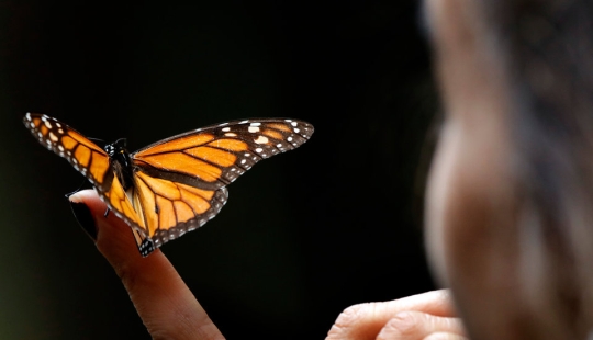 12 Signs We're In The Middle Of The 6th Mass Extinction