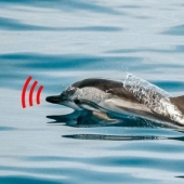 13 absurd facts that will blow your mind