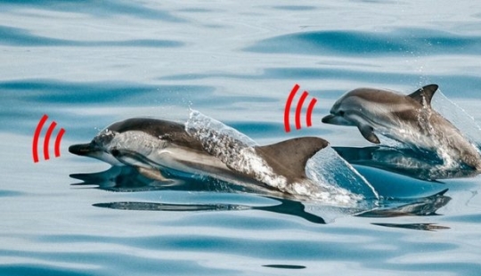 13 absurd facts that will blow your mind